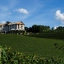 A la découverte du vin Côte Rôtie