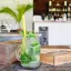 Combien coûte un mojito ?
