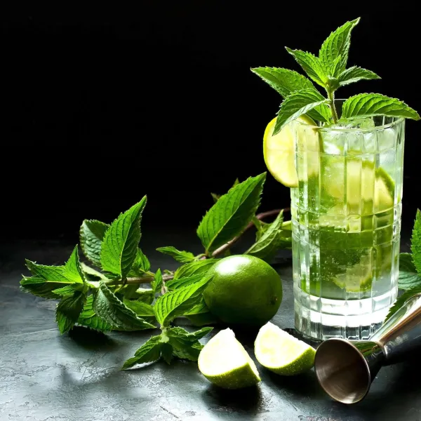 Mojito maison : 7 erreurs à éviter pour réussir votre cocktail