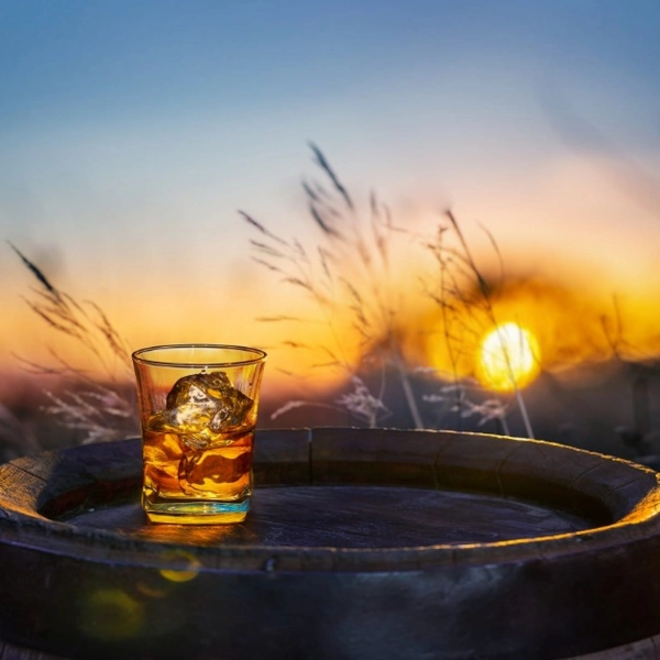 Quel est le verre à adopter pour mieux savourer son whisky ?