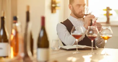 Initiation œnologie à Nantes : déguster le muscadet comme un pro