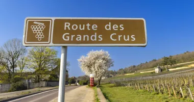 Week-end dégustation de vin à Bordeaux : conseils et idées pour un séjour réussi