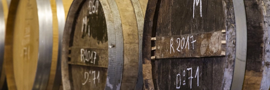 Comment est fabriqué le cognac ? tout savoir sur la procédure !