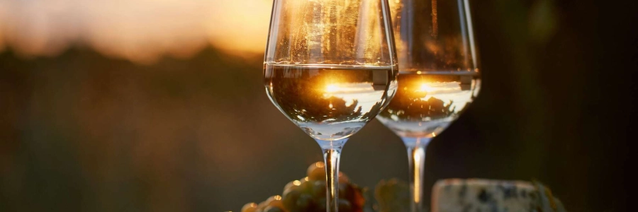 Comment trouver le bon verre à vin pour une excellente dégustation ?