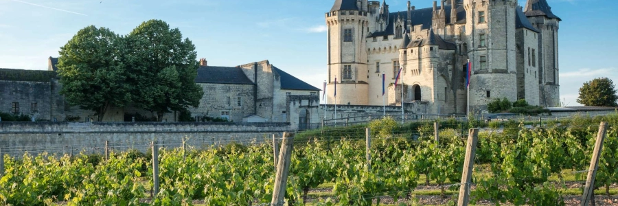 Découvrez la route des vins de loire : châteaux, vignobles et dégustations