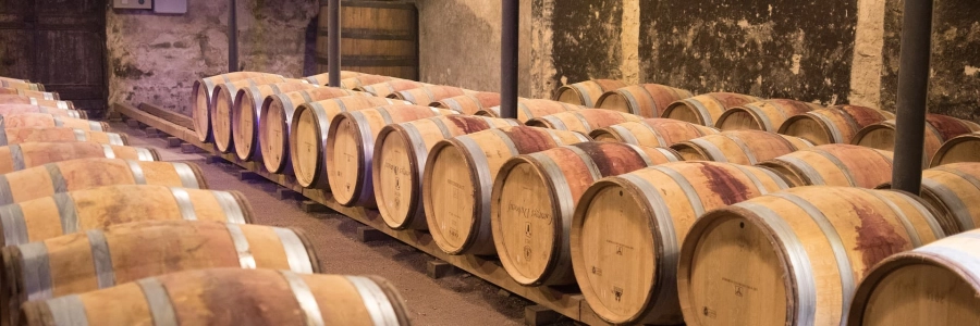 Guide du beaujolais : découverte des vins aoc