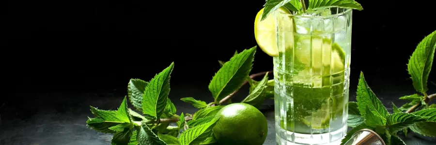Image de l'article : Mojito maison : 7 erreurs à éviter pour réussir votre cocktail - Mojito maison : 7 erreurs à éviter pour réussir votre cocktail