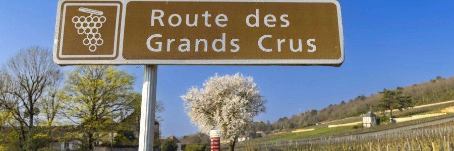 Image de l'article : Week-end dégustation de vin à Bordeaux : conseils et idées pour un séjour réussi - Week-end dégustation de vin à Bordeaux : conseils et idées pour un séjour réussi