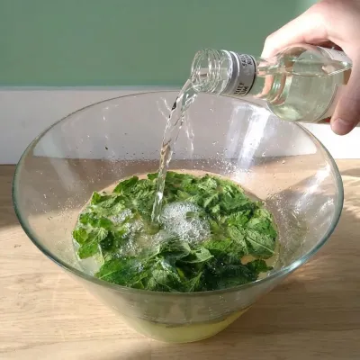 Illustration de l'étape 5 de la recette du Mojito Punch pour 10 personnes
