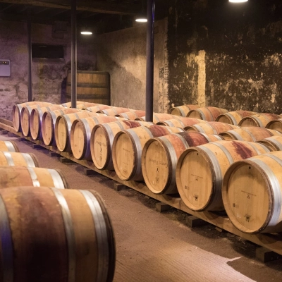 Guide du beaujolais : découverte des vins AOC