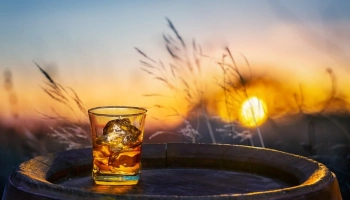 Illustration de l'article Quel est le verre à adopter pour mieux savourer son whisky ?