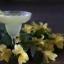 La Margarita, un cocktail emblématique