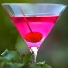 Image du cocktail: rose