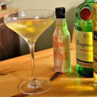 Image du cocktail: alaska cocktail