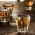 Miniature affichant une photo du cocktail shot gun